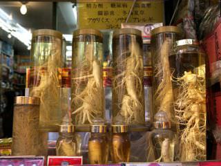 人参根