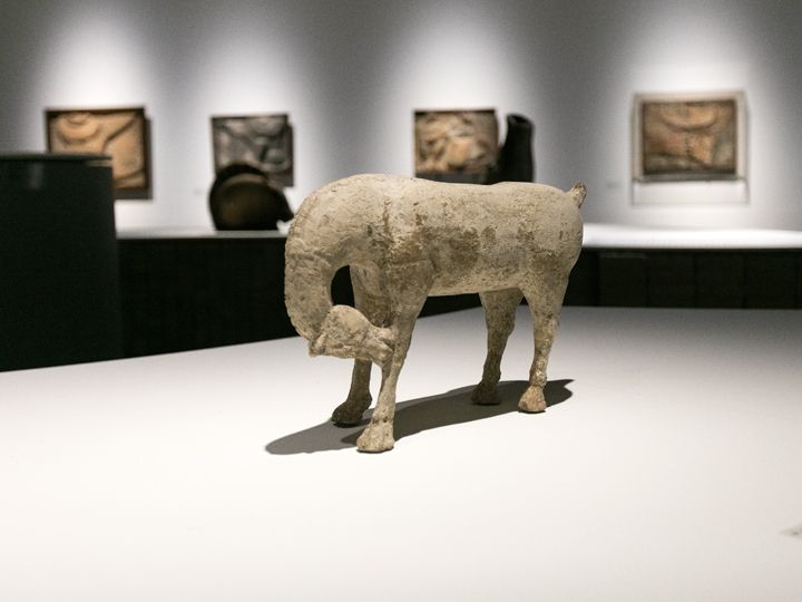 RM的珍藏品《马》