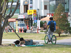 首尔旅游新去处——全长6km多的超长城市公园落成！