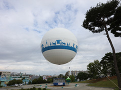 水原华城惊现热气球！韩国旅游新体验！