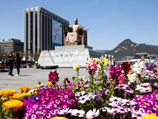 光化门广场清扫一新，迎接游客！