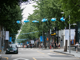 漫步林荫道，享受夏末时光！