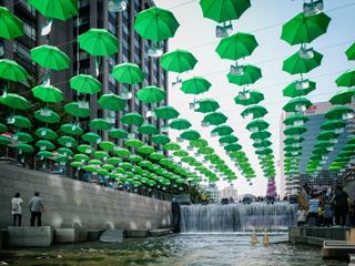 绿色雨伞坠满清溪川！国庆中秋黄金周来拍照吧！
