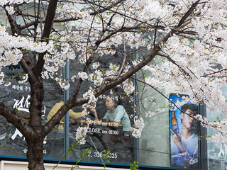 一起到弘大旁的上水站樱花路和咖啡街散步吧！
