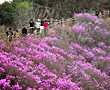 休闲旅游的时节到来啦!