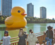 大黄鸭“到访”首尔！