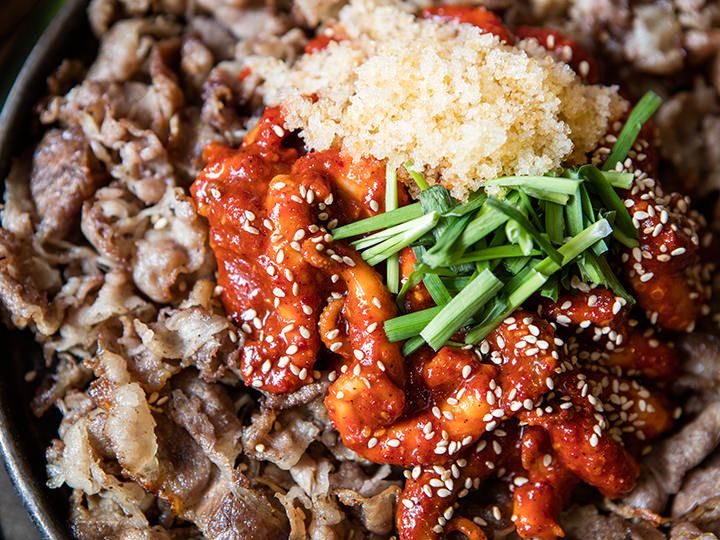 肥牛小章鱼 钟路总店