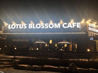 Lotus Blossom Cafe 俗离山店照片 韩国美食 韩国旅游网 韩巢网 Lotus Blossom Cafe 俗离山店照片 韩国美食 韩国旅游网 韩巢网