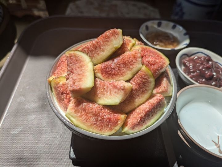 儒达洞的浪漫史