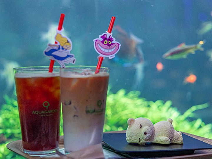 AQUAGARDEN Cafe 乐天世界购物城蚕室店
