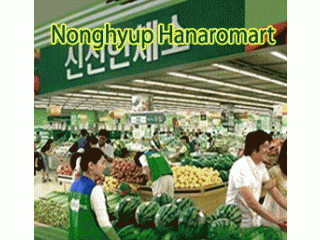 西首尔农协Hanaro超市 社稷店