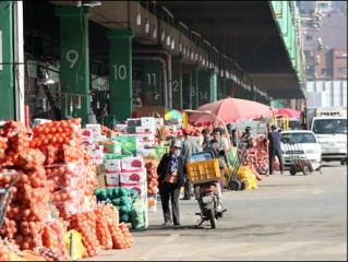 可乐农水产品市场