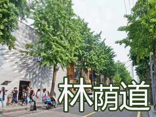 新沙洞林荫道旅游攻略