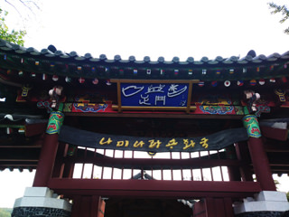 与南怡岛的美丽相遇