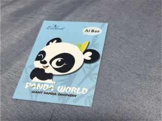 爱宝乐园一日游