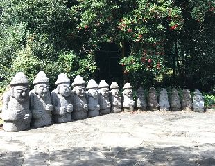 不租车也能玩转济州岛