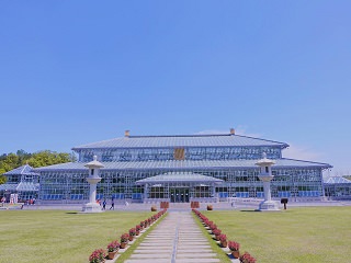 你与初秋的庆州 还差一个约定