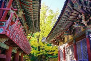 庆尚南道的梁山秋色