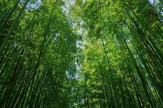 海洋之心--蔚山