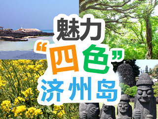 【济州岛攻略】你的济州之行是什么颜色的？