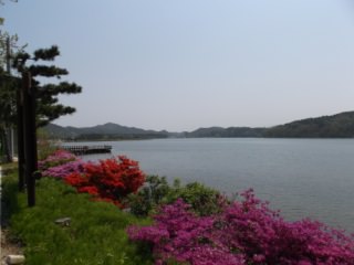草岛花津浦海水浴场
