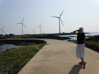 新昌风车海岸道路 韩国景点推荐 韩国旅游网 韩巢网 新昌风车海岸道路 韩国景点推荐 韩国旅游网 韩巢网