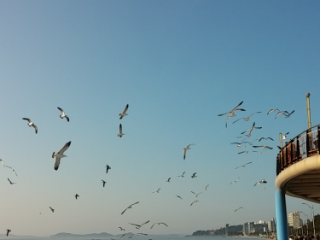 大川海水浴场