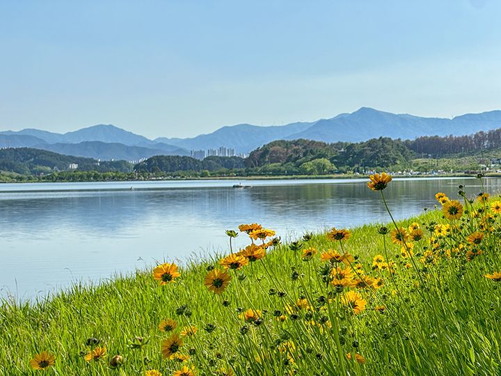 镜浦湖