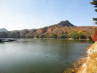 山井湖
