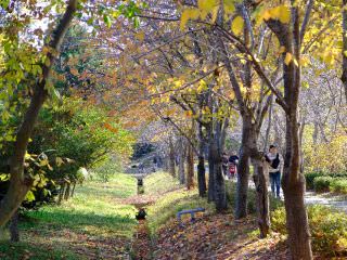 庆北山林环境研究院