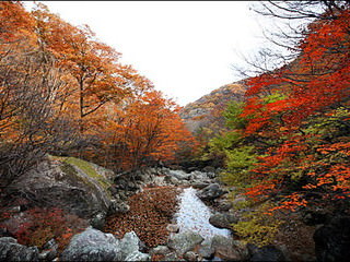 智异山国立公园