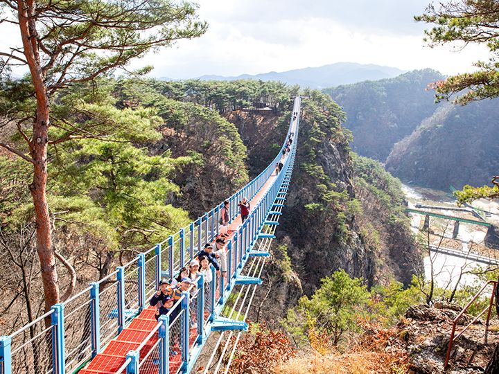 小金山吊桥