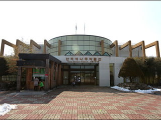 韩国竹博物馆