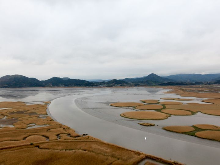 顺天湾湿地