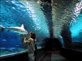 COEX水族馆(COEX AQUARIUM)