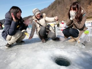 华川山鳟鱼庆典