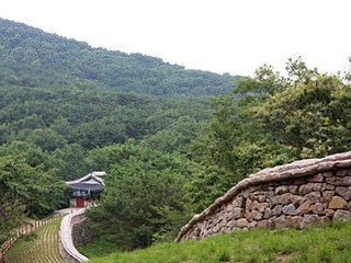 金井山城