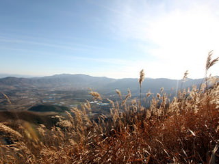 杨口宾治盆地