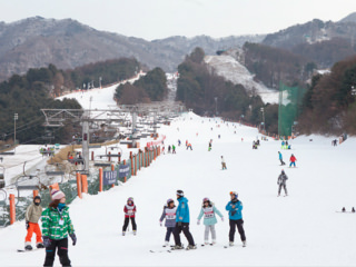 熊城度假村 ※停业中