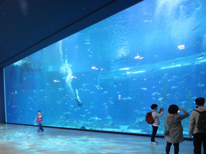 济州水族馆Aquaplanet